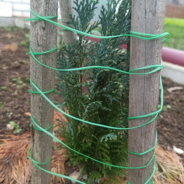 превью изображения отзыва