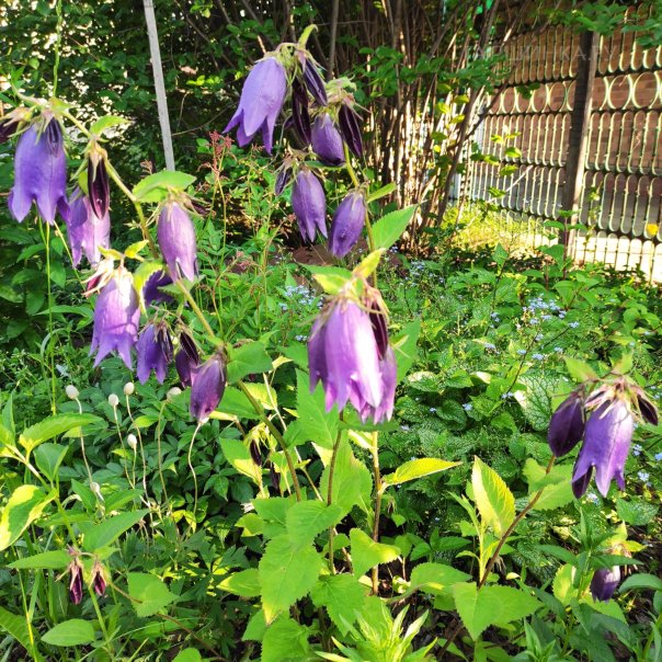 превью изображения отзыва