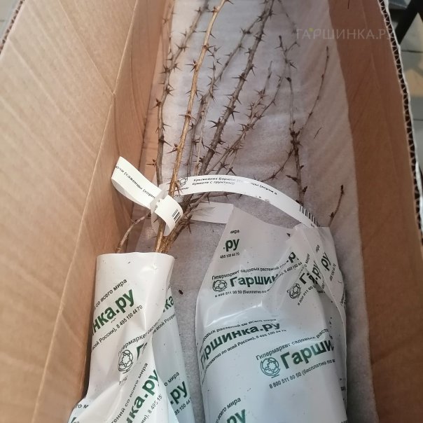 превью изображения отзыва