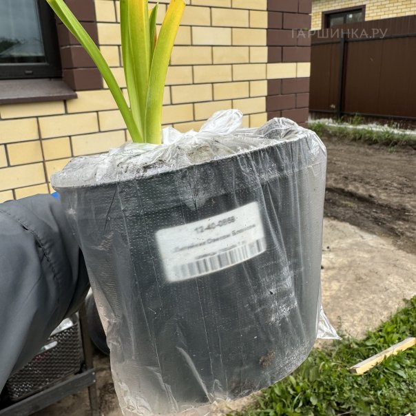 превью изображения отзыва