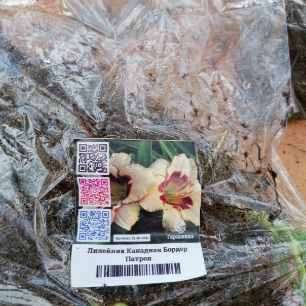 превью изображения отзыва