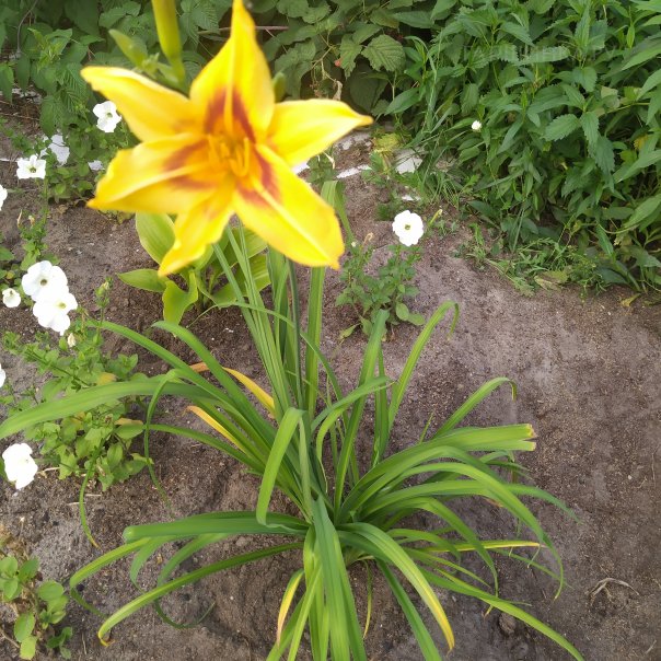 превью изображения отзыва