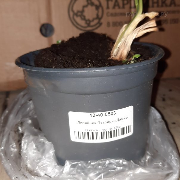 превью изображения отзыва