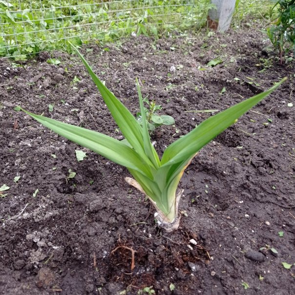 превью изображения отзыва