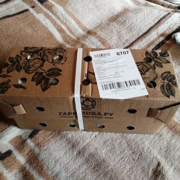 превью изображения отзыва