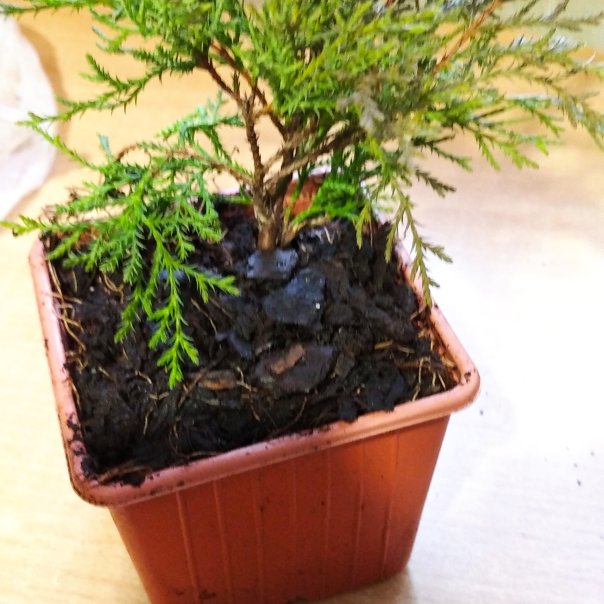 превью изображения отзыва