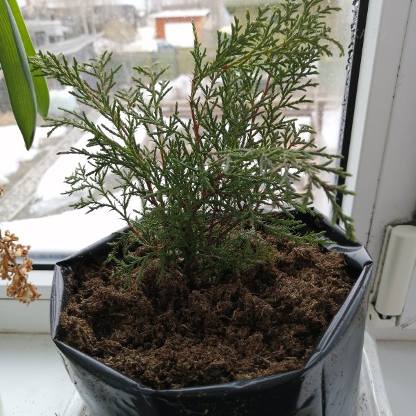 превью изображения отзыва