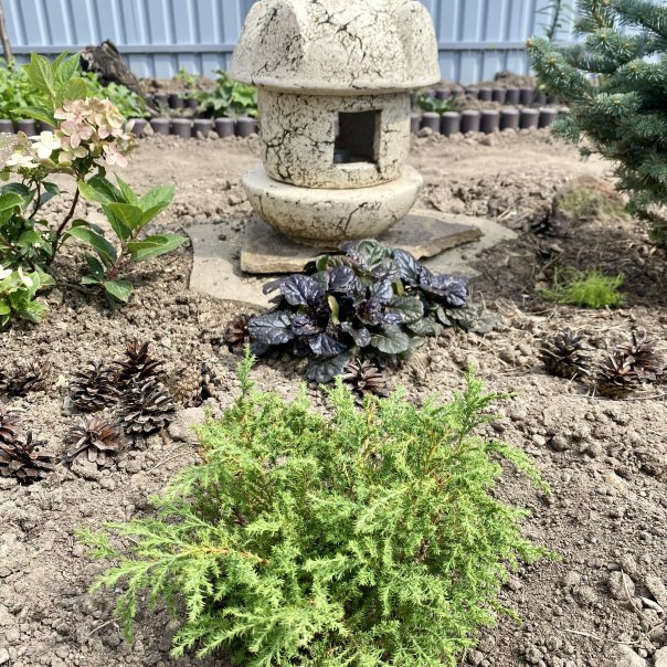 превью изображения отзыва