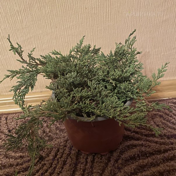 превью изображения отзыва