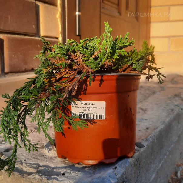 превью изображения отзыва