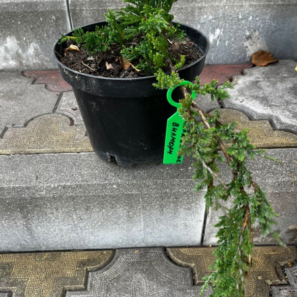 превью изображения отзыва