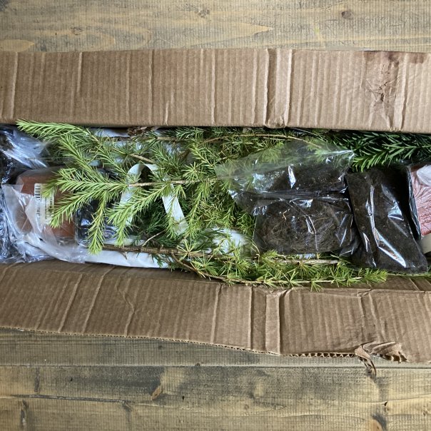 превью изображения отзыва