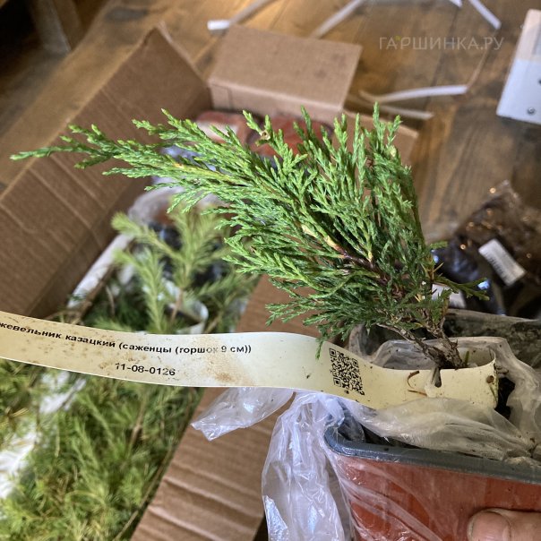 превью изображения отзыва