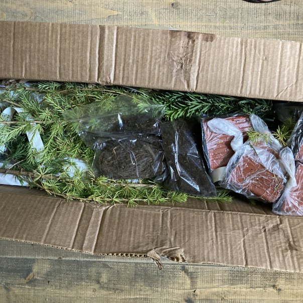 превью изображения отзыва