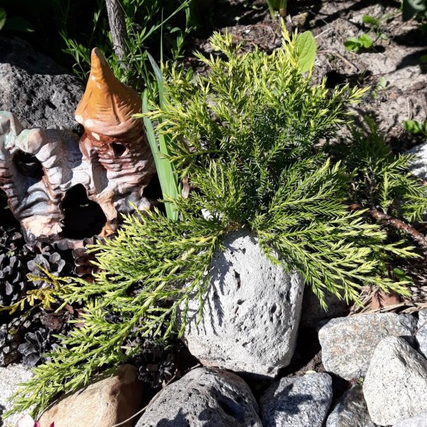 превью изображения отзыва