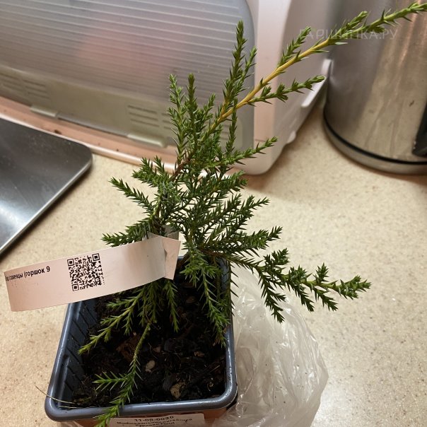 превью изображения отзыва