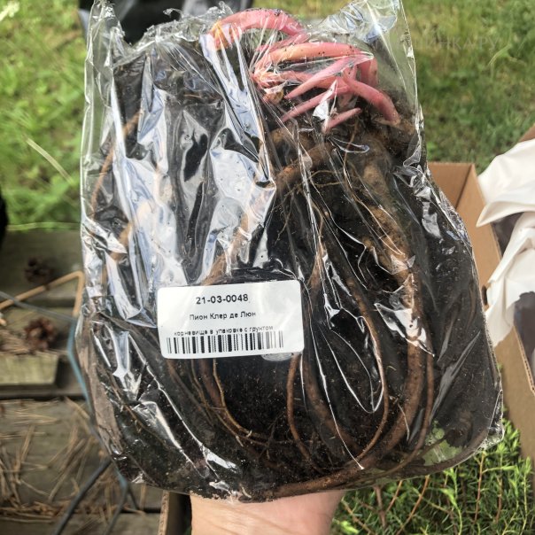 превью изображения отзыва