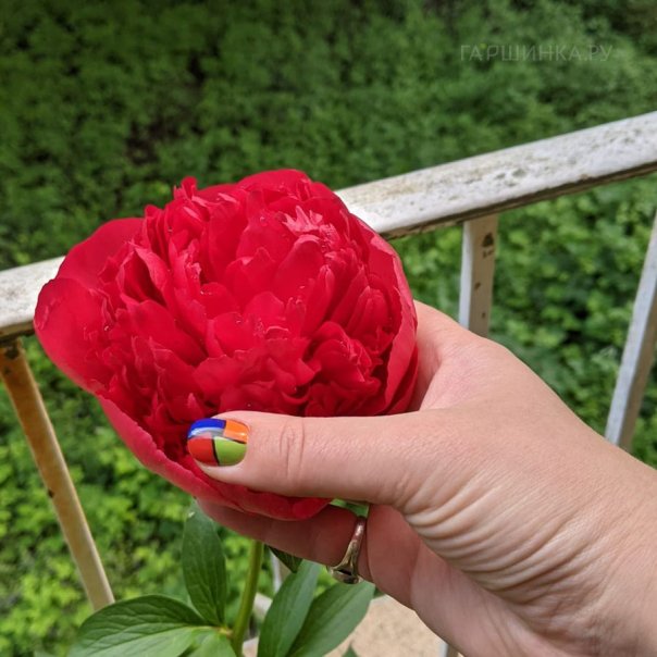 превью изображения отзыва