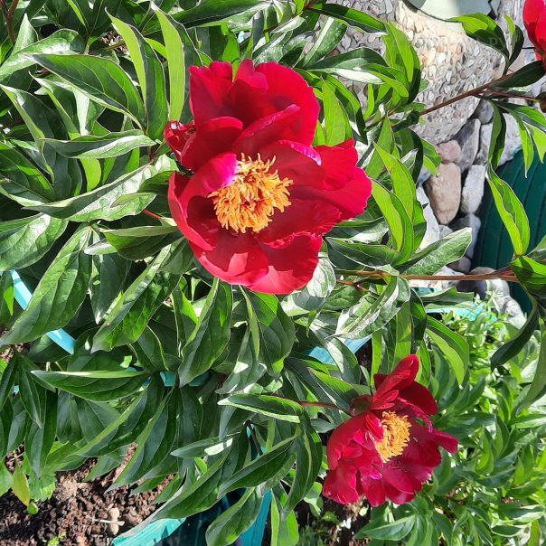 превью изображения отзыва