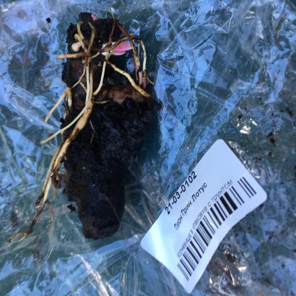 превью изображения отзыва