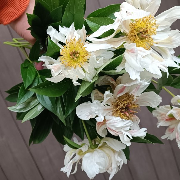 превью изображения отзыва