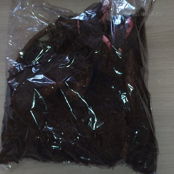 превью изображения отзыва