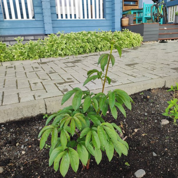 превью изображения отзыва