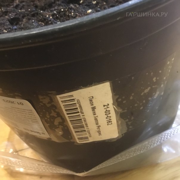 превью изображения отзыва