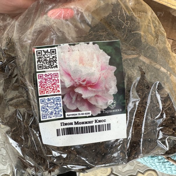 превью изображения отзыва