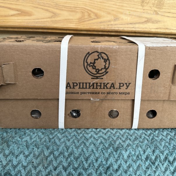 превью изображения отзыва