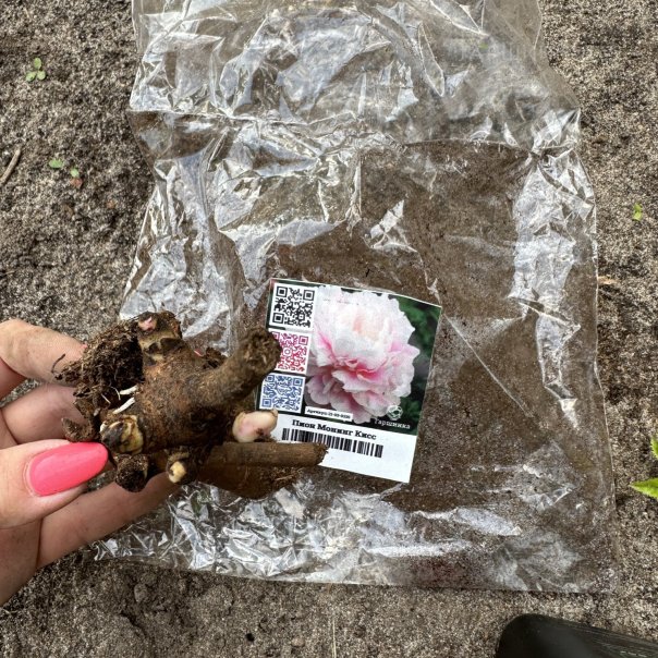 превью изображения отзыва