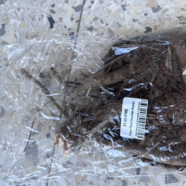 превью изображения отзыва