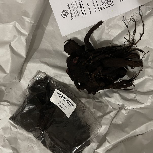 превью изображения отзыва