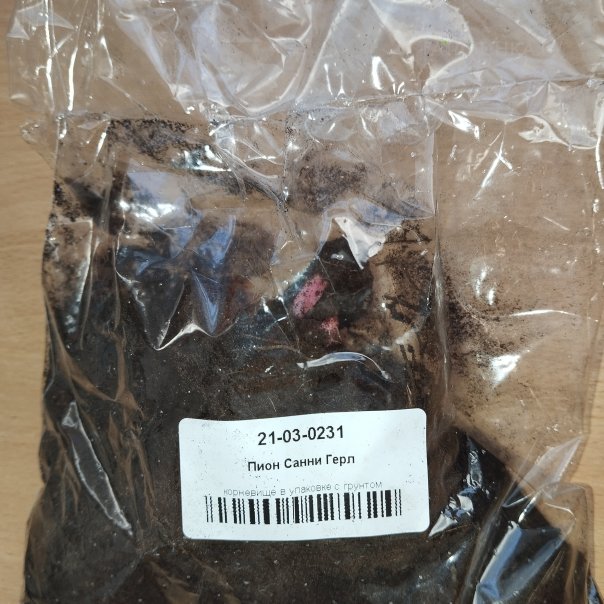 превью изображения отзыва