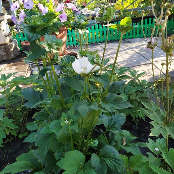 превью изображения отзыва