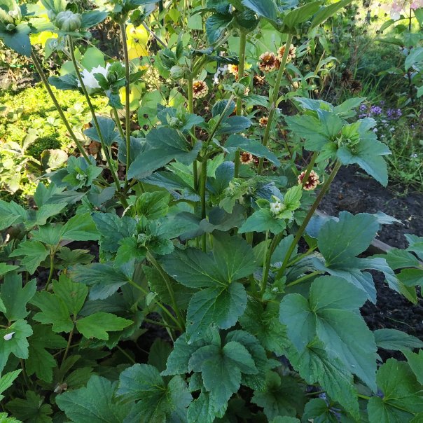 превью изображения отзыва