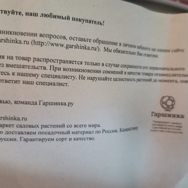 превью изображения отзыва