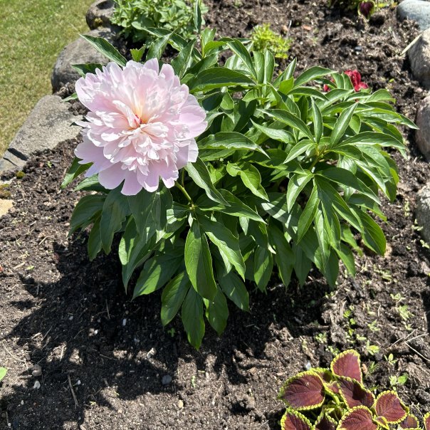 превью изображения отзыва