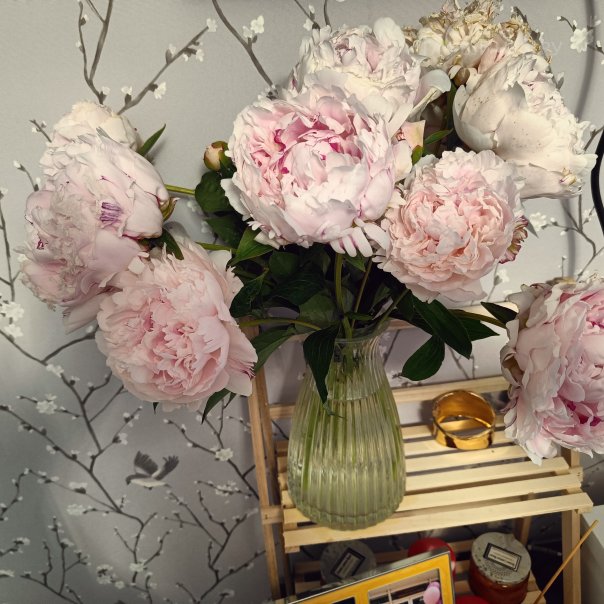 превью изображения отзыва