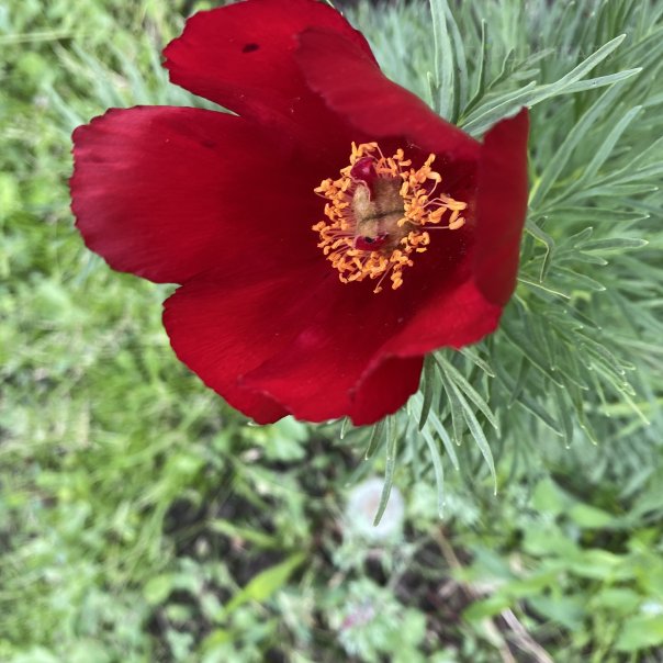 превью изображения отзыва