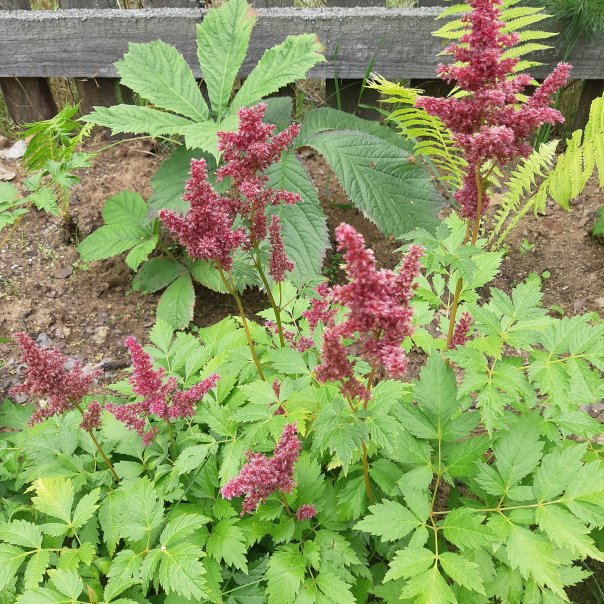 превью изображения отзыва