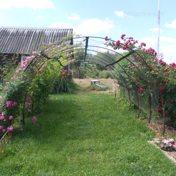 превью изображения отзыва