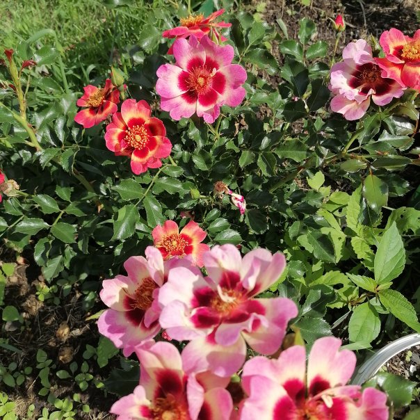 превью изображения отзыва