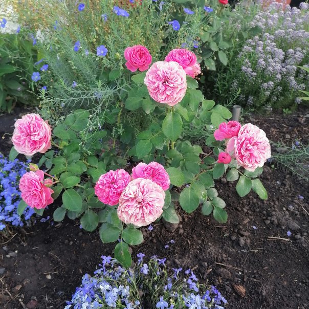 превью изображения отзыва