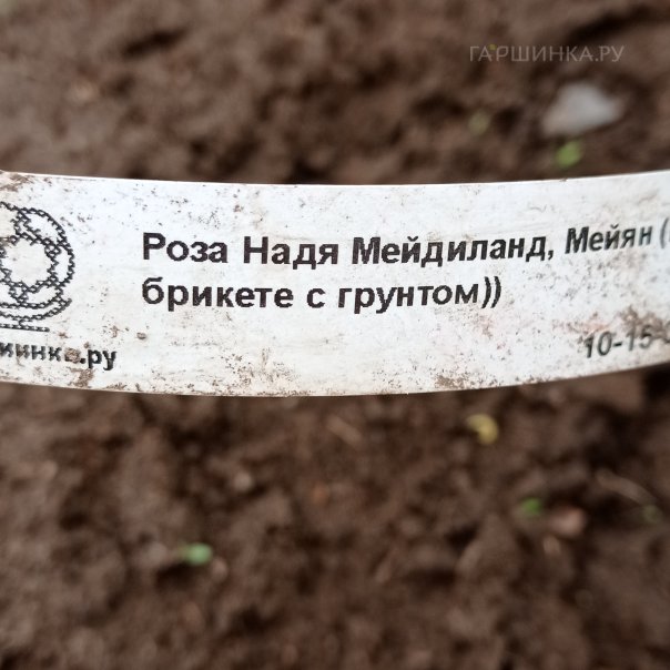 превью изображения отзыва