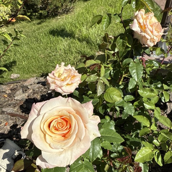 превью изображения отзыва