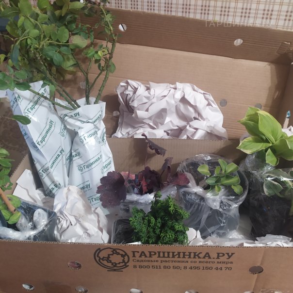 превью изображения отзыва