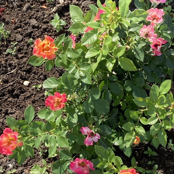 превью изображения отзыва