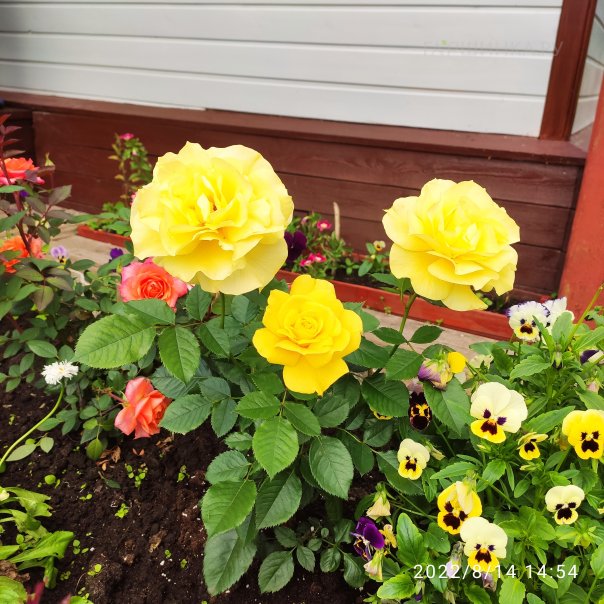 превью изображения отзыва