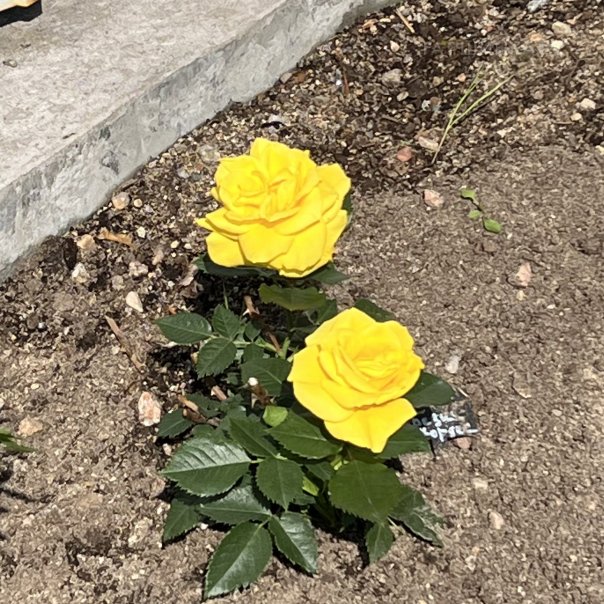 превью изображения отзыва